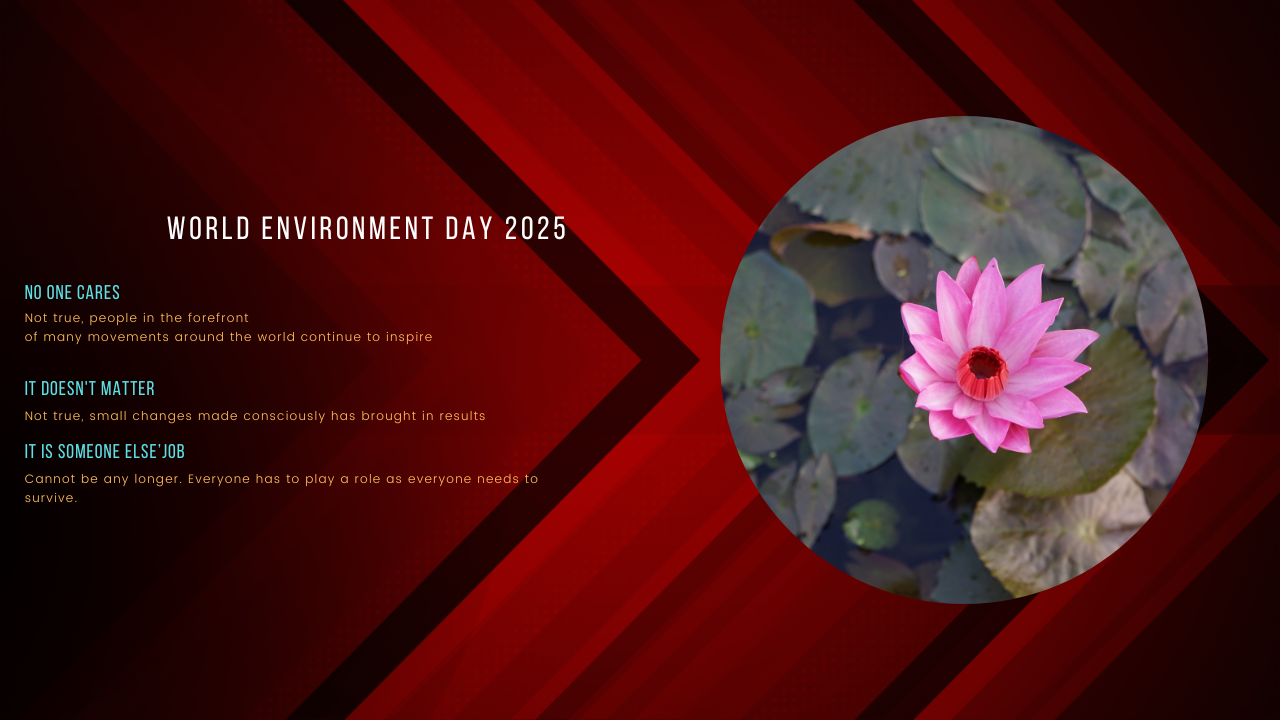 wed2025-tn