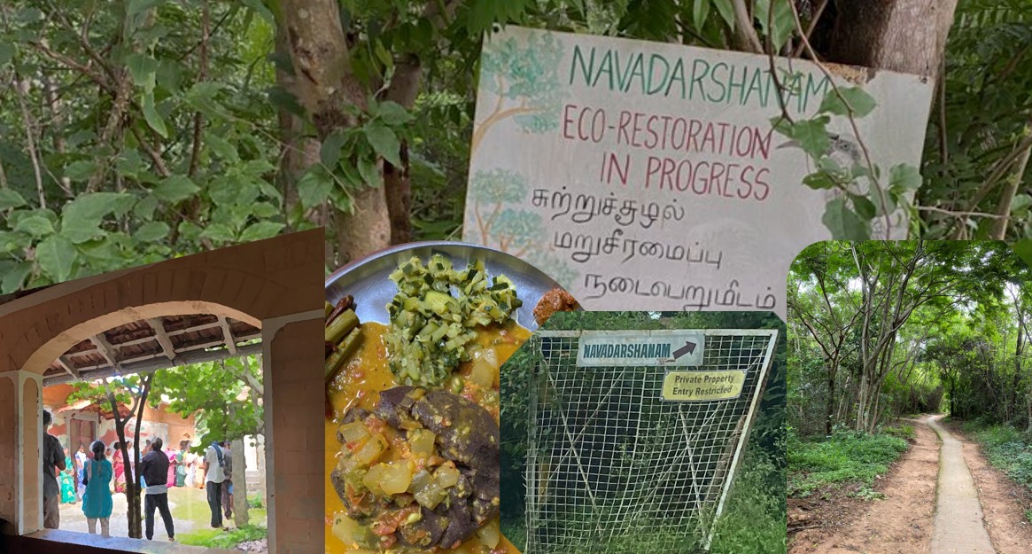 navacollage