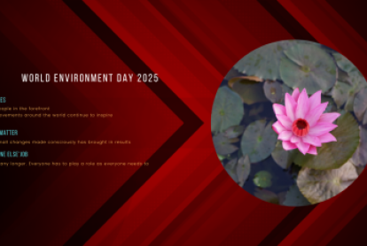 wed2025-tn