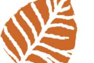 leaf8